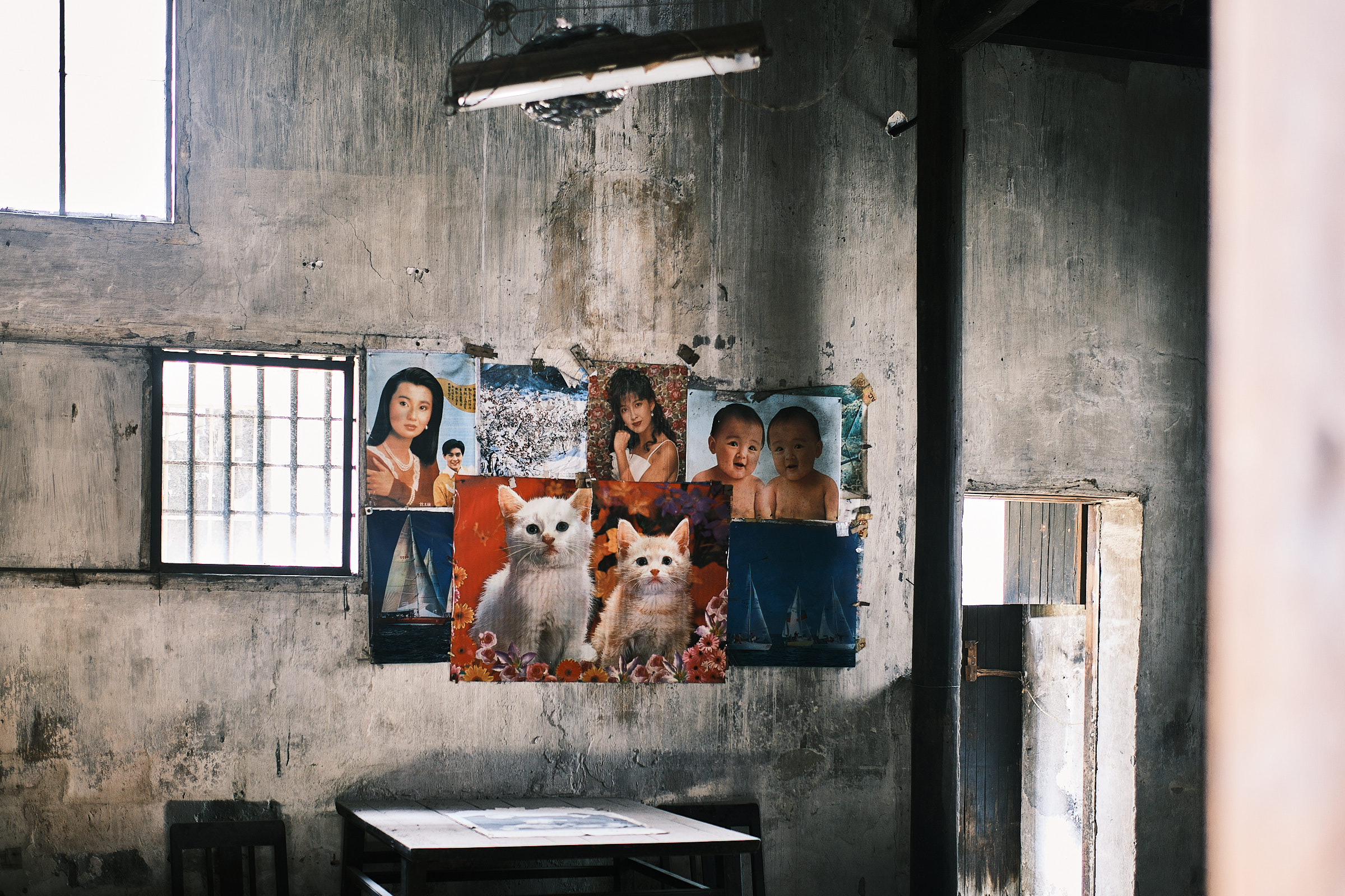 Interesting Wall With Posters Of Actresses And Cats
