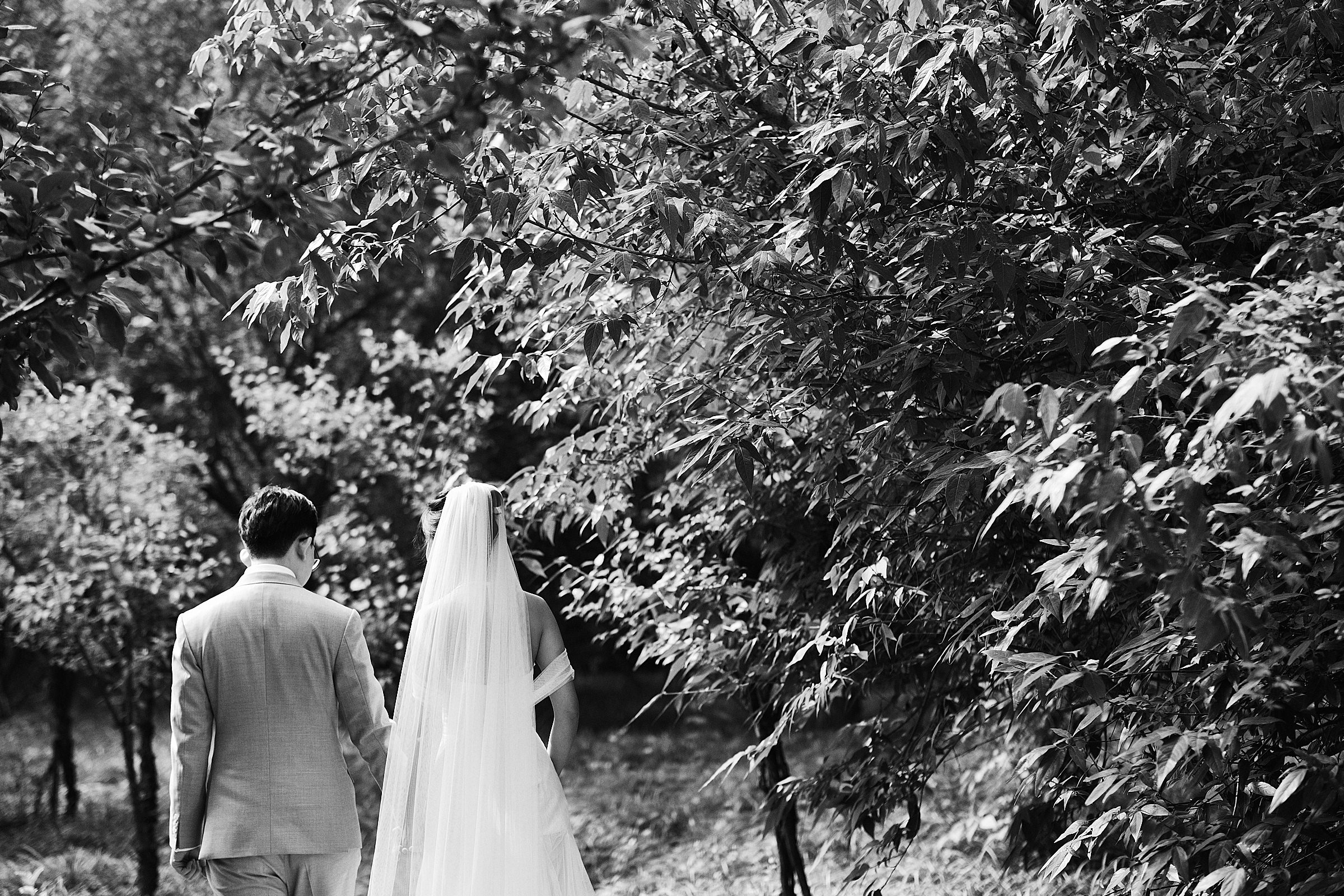 Bride And Groom Walk Away In The Midst Of Trees Holding Hands In Black And White In China Wedding