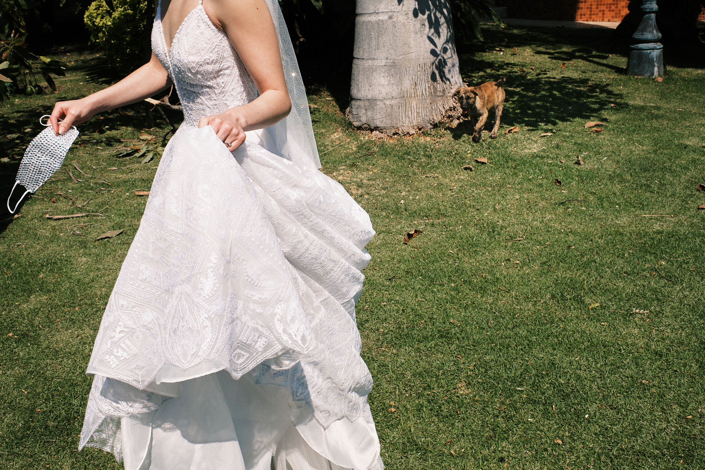 Bride Walks On Grass And Dog On The Background