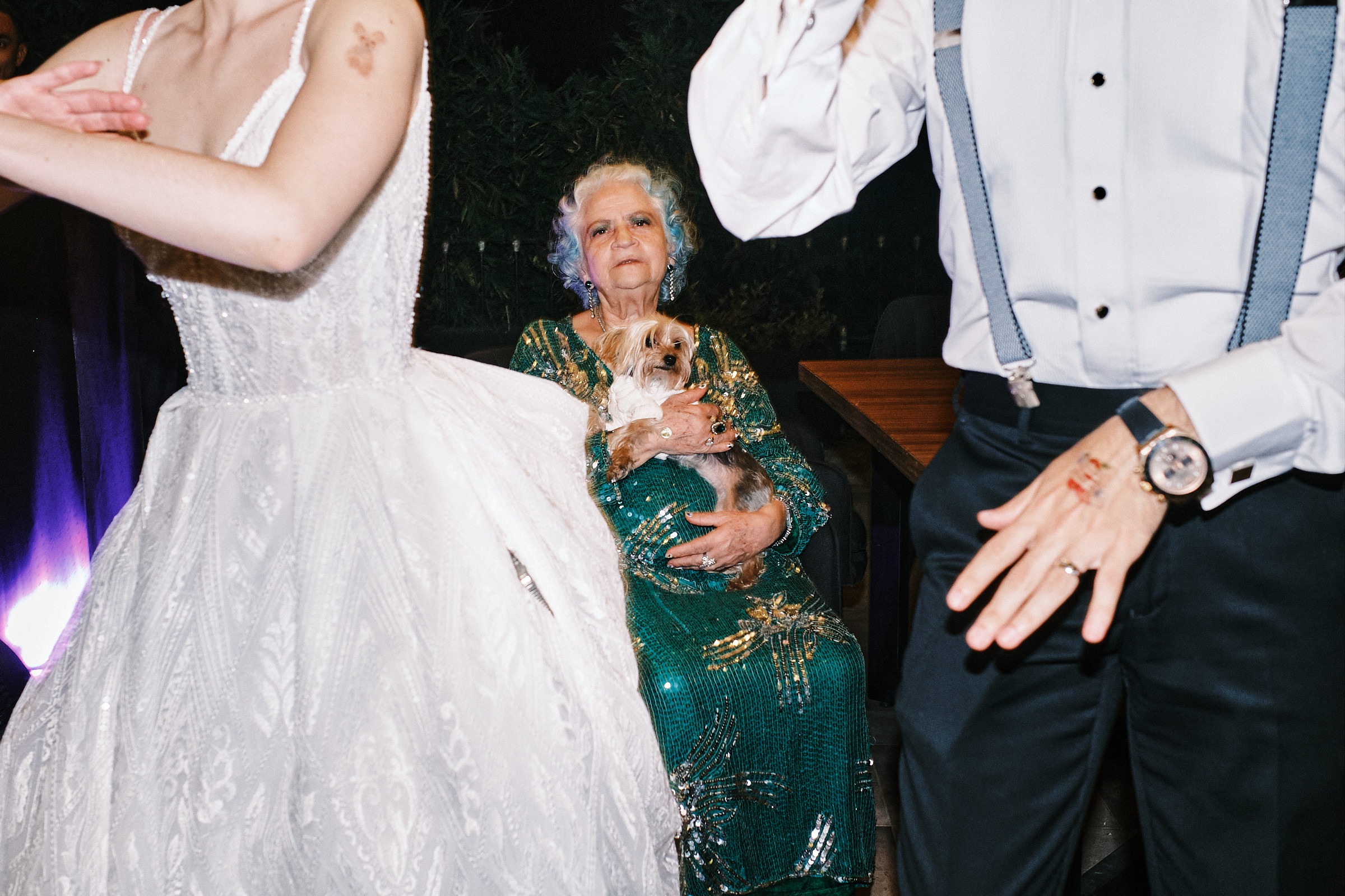 Grandma Of Groom Holds Dog While Bride And Groom Dance